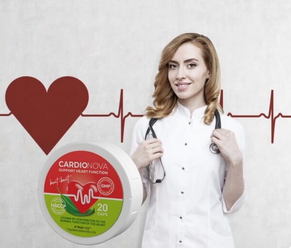 Συστατικά και σύνθεση