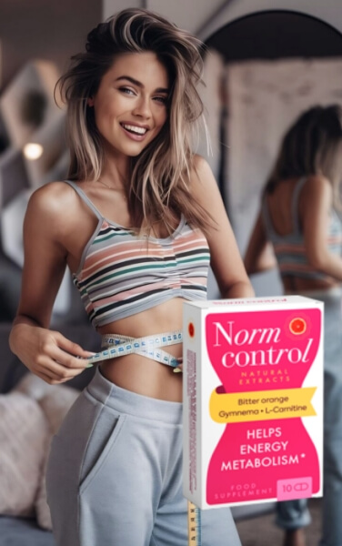 Οδηγίες χρήσης του Normcontrol